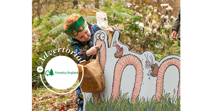 Little ones can learn all about the Forest of Deans heroic minibeast population and have fun following the all-new Superworm trail at Beechenhurst this January 2022.